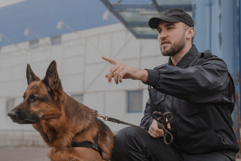 Patrol & Explosive Detection Dogs