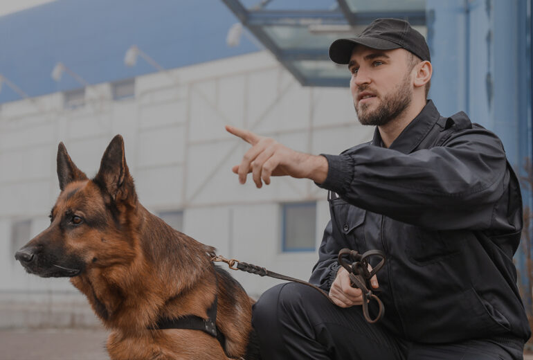 Patrol & Explosive Detection Dogs